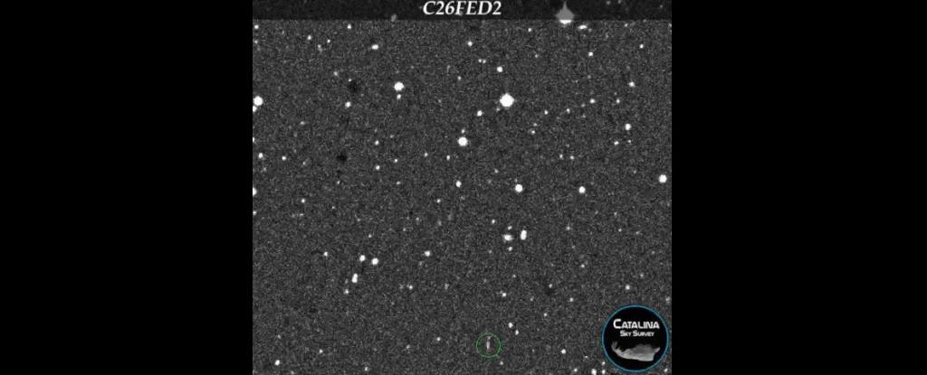 地球视角下的月球可见度，揭示天文奥秘与宇宙之谜的59%概率