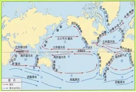 日本政府决定将核污水排海引发全球关注与影响分析，涉政问题的深度探讨