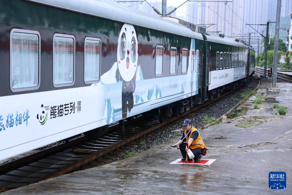 熊猫专列·成都号旅游列车亮相四川，文旅融合新力量惊艳亮相（图文报道）