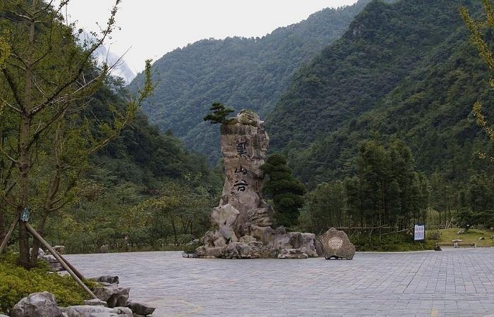 重庆生物智能制造研究院，迈向千亿级市场的转型之旅