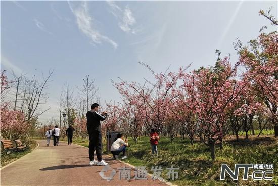 文化魅力与旅游业的完美融合，以文迎客之道