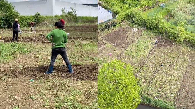 法国荒地变中国菜园，文化与地域的传奇交融