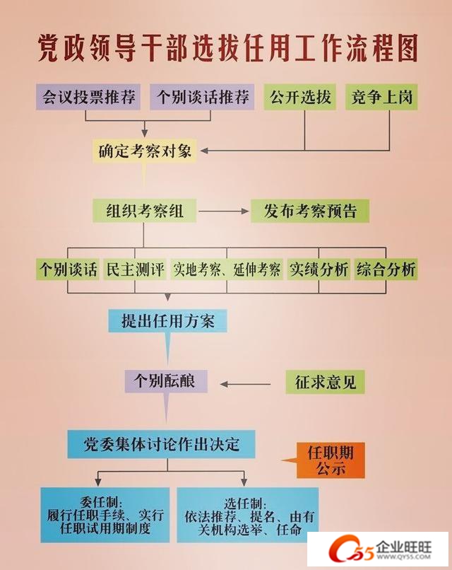 事业单位提拔任用流程全面解析