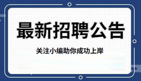 事业单位财务招聘，人才选拔与财务管理的综合考量