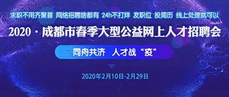 成都市招聘盛况概览，人才与城市共赢之路（2020年度）