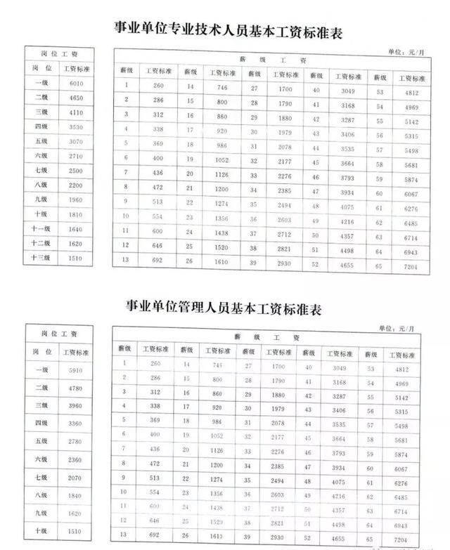 档案馆工作人员薪资待遇、现状面临挑战与未来展望