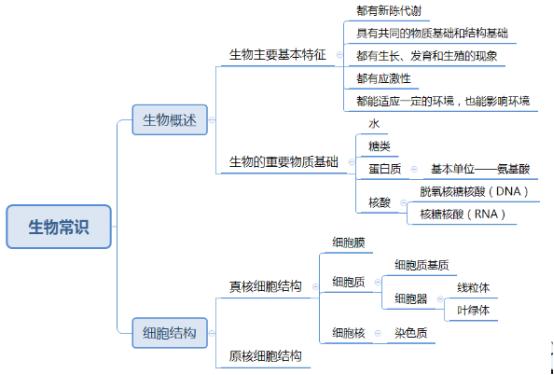 仅有一颗心。 第5页