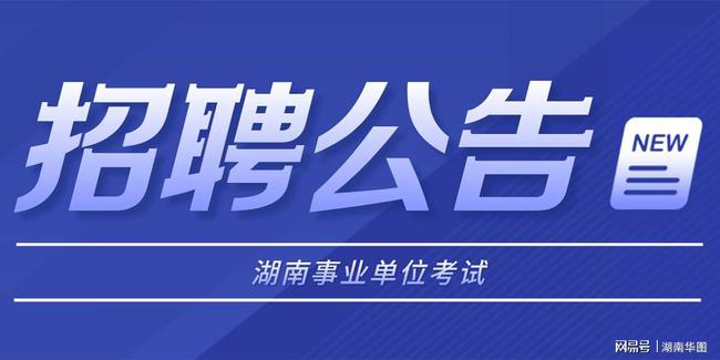 湖南事业编最新招聘，长沙人才探寻之旅，共筑发展新篇章