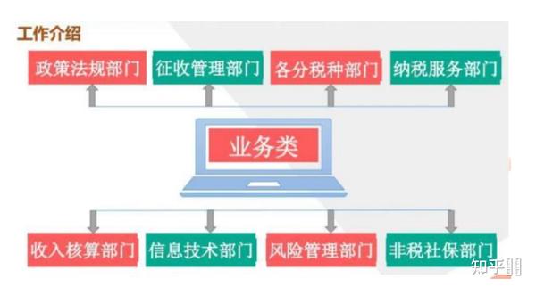 公务员税务系统招聘条件深度解析