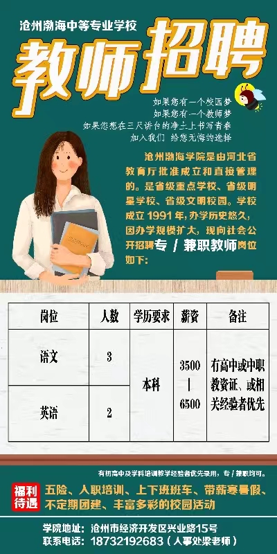 教师编制最新招聘信息全面解析