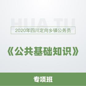 四川省乡镇公务员在公共基础知识中的角色与挑战解析