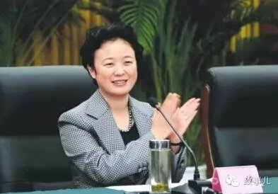 美女书记林虹被查，公众人物的道德底线与社会责任引发关注热议