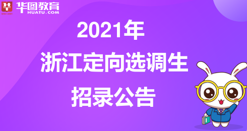 浙江公务员面试2021，考察要点与应对策略解析