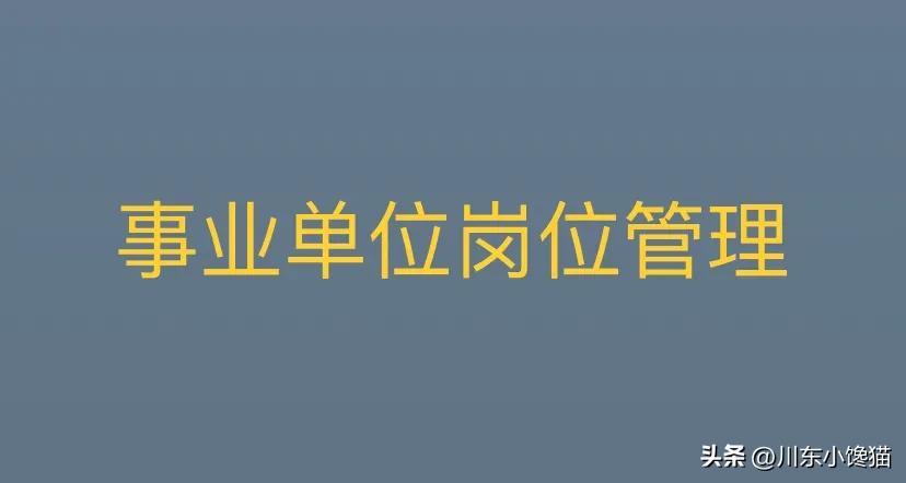 事业单位管理岗位的含义深度解析