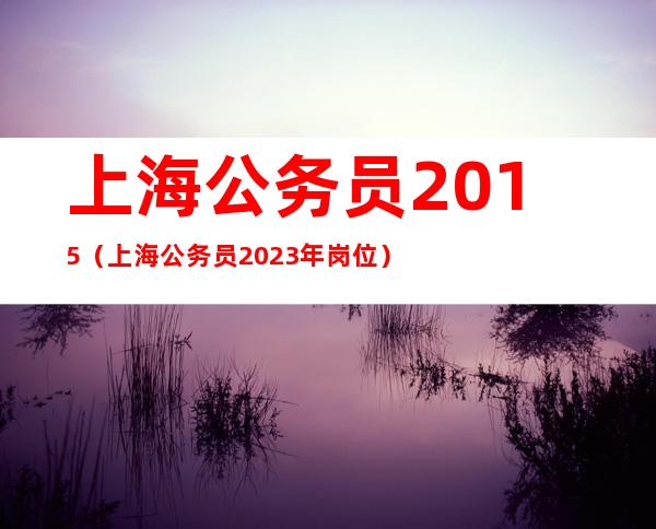 揭秘2023年上海公务员精英名单，梦想起航的新篇章