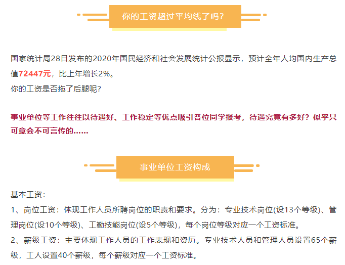 事业单位信息技术岗分类与角色定位解析