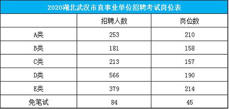 武汉下半年事业单位招聘职位表全面解析