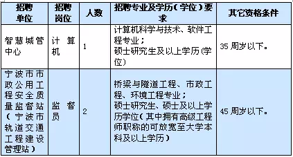 政府信息技术岗位，角色、职责与未来展望