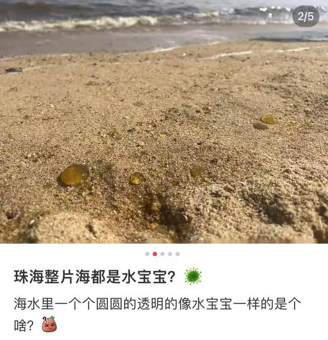 海边神秘爆爆珠揭秘，探索海洋新现象背后的秘密