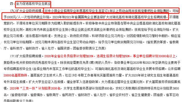 事业编应届生政策助力青年人才成长与发展起跑线加速计划