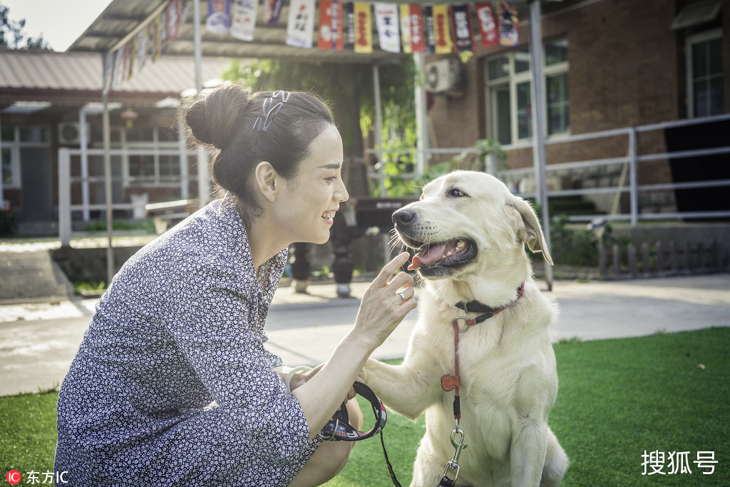 网红狗艾特洗澡死亡事件，训犬师谈反思与启示