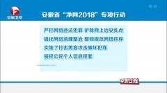 净网行动在网络安全领域的显著成效与积极影响探讨，迈向成功的实践案例解析