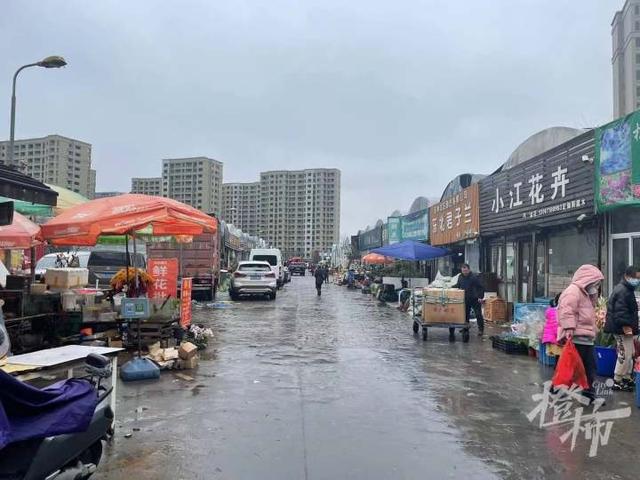 女生四日徘徊思索，浙江归河南的漫长旅程