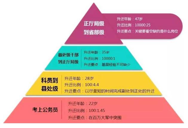 事业编报考官网，公职梦想的起点