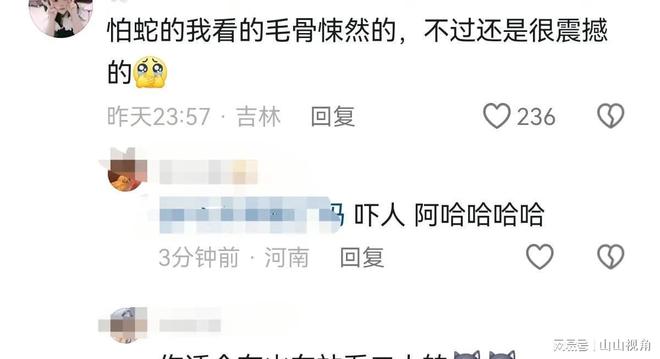 杨丽萍蛇舞，舞动的艺术与灵动的生命之美