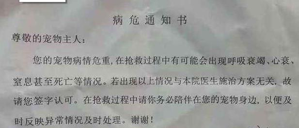 春节监控下的思念，父母离世的男子深情缅怀父母之爱